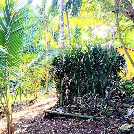 La Familia Guest House And Natural Farm Port Antonio Exterior foto
