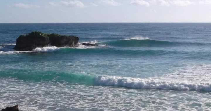 La Familia Guest House And Natural Farm Port Antonio Exterior foto