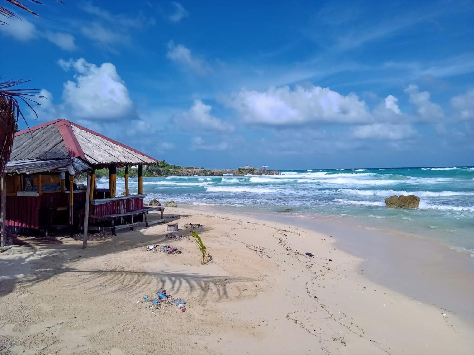 La Familia Guest House And Natural Farm Port Antonio Exterior foto