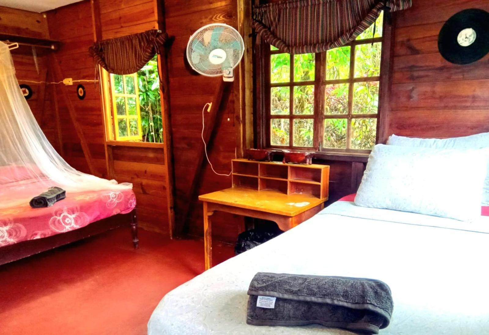 La Familia Guest House And Natural Farm Port Antonio Exterior foto