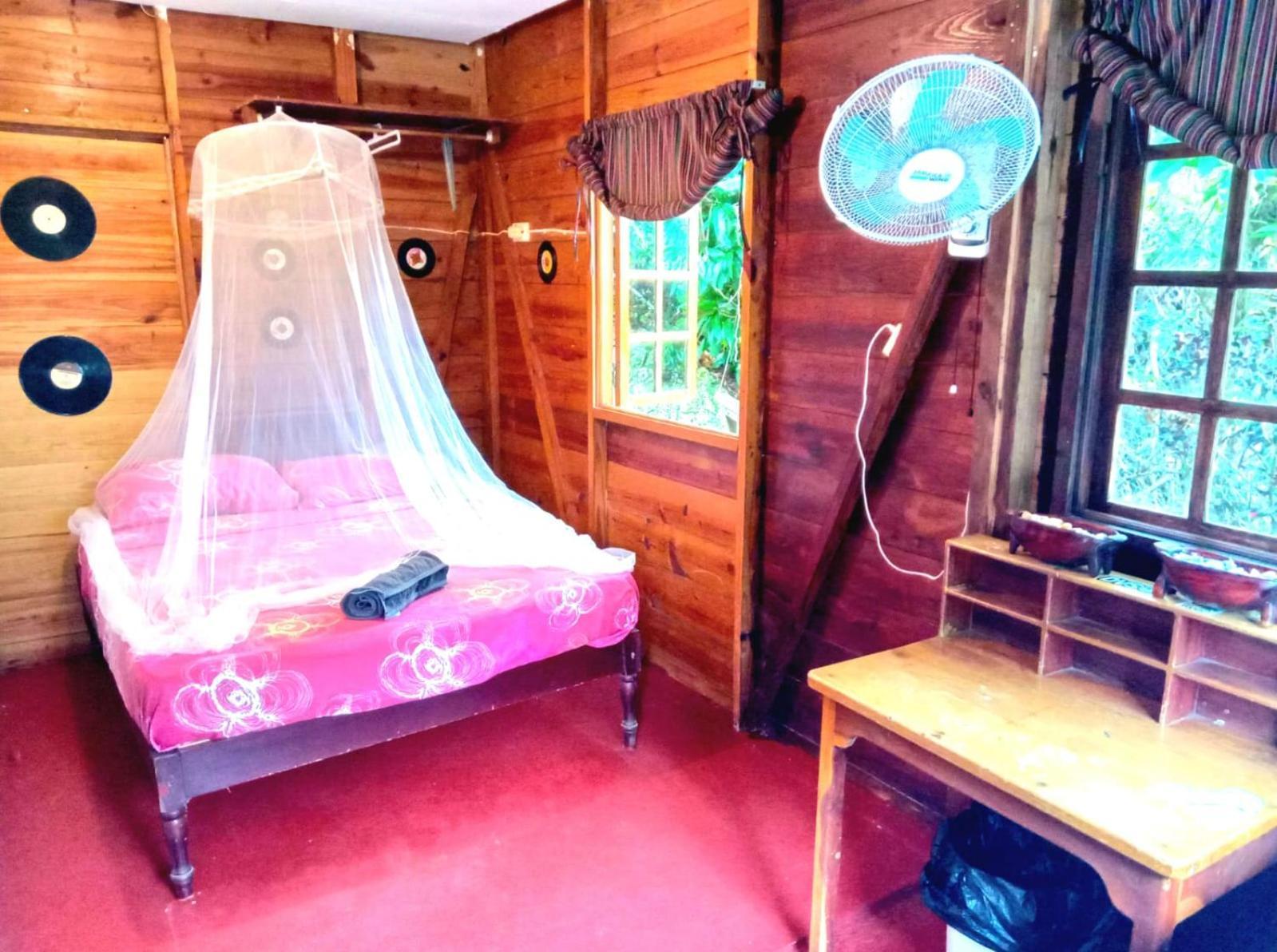 La Familia Guest House And Natural Farm Port Antonio Exterior foto