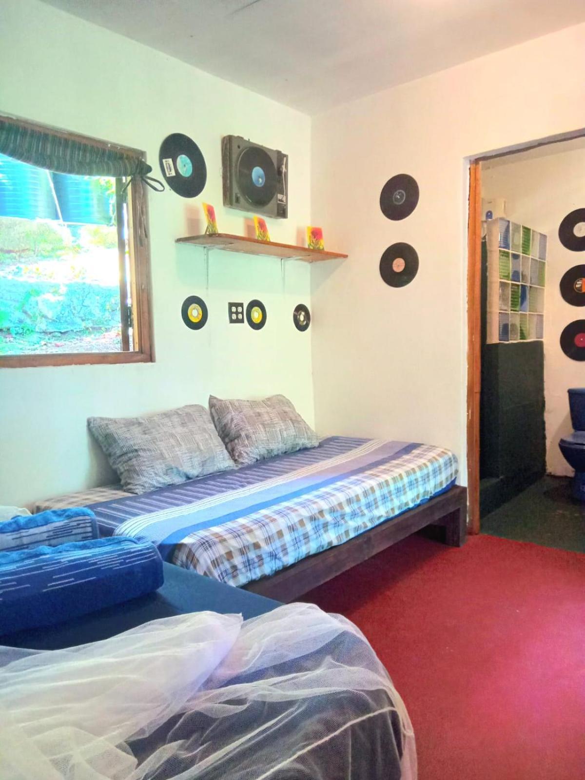 La Familia Guest House And Natural Farm Port Antonio Exterior foto