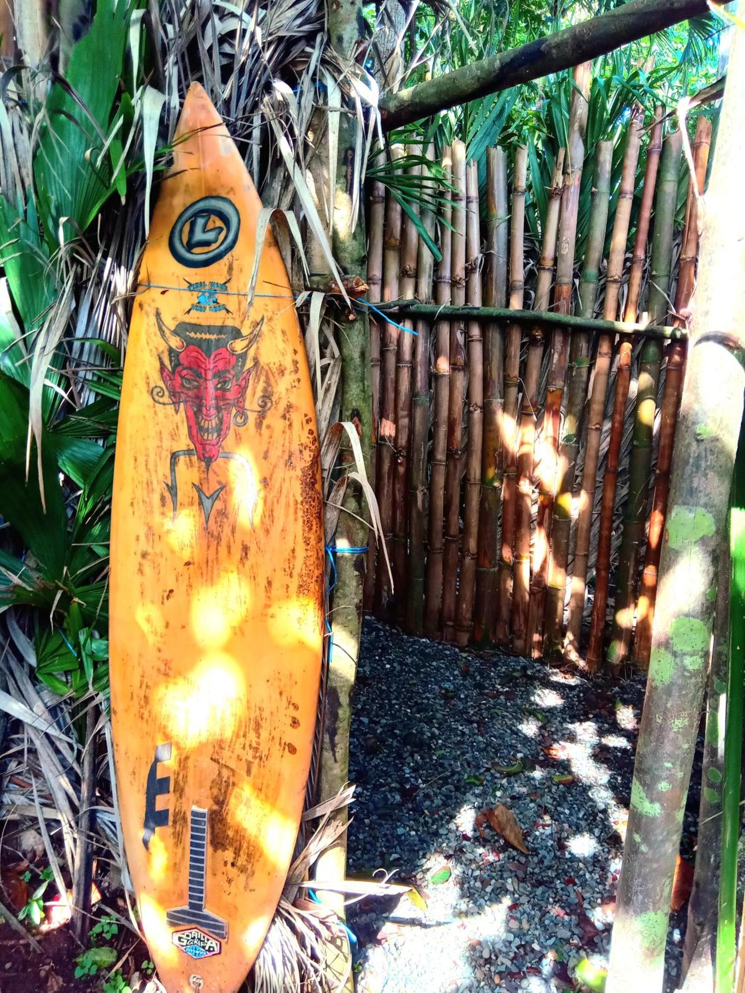 La Familia Guest House And Natural Farm Port Antonio Exterior foto
