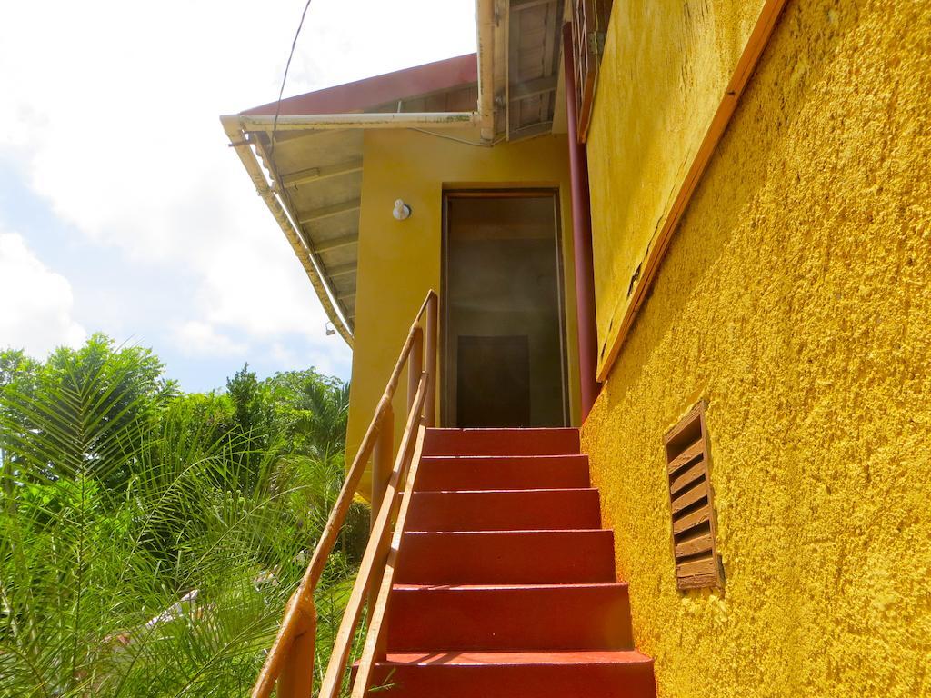 La Familia Guest House And Natural Farm Port Antonio Exterior foto