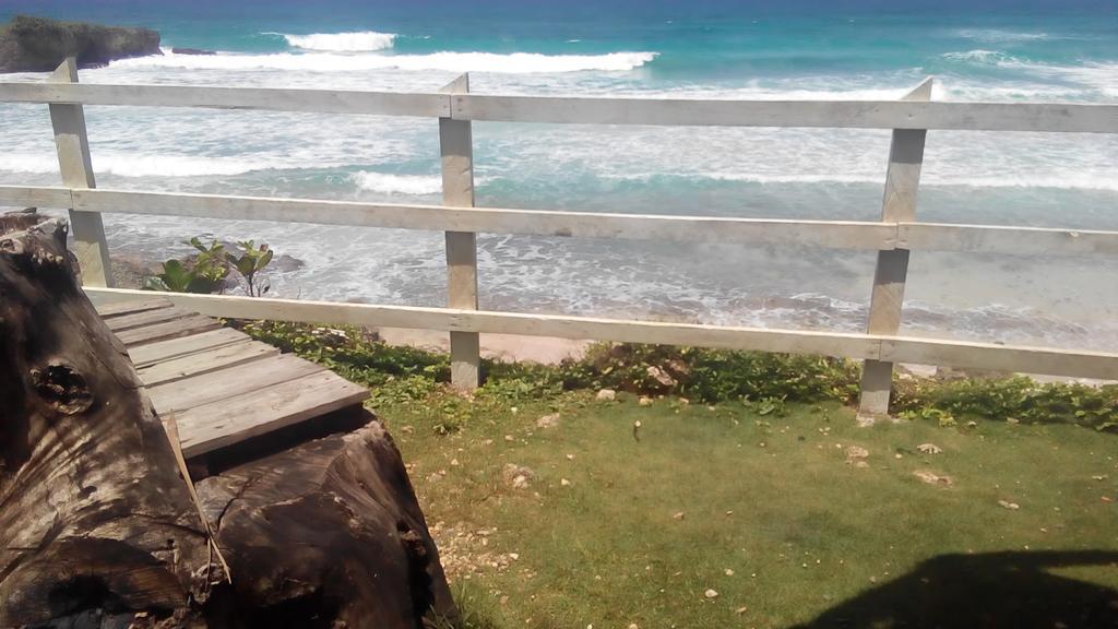 La Familia Guest House And Natural Farm Port Antonio Exterior foto