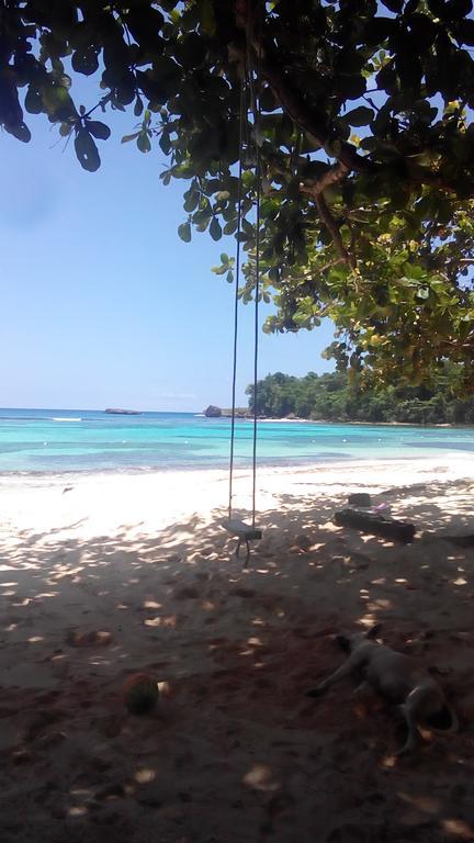 La Familia Guest House And Natural Farm Port Antonio Exterior foto