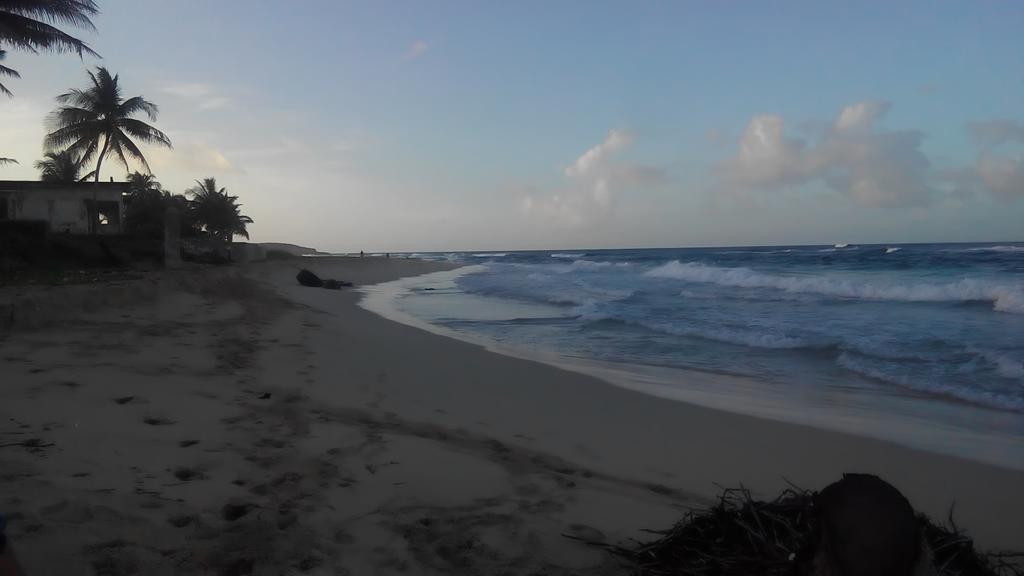 La Familia Guest House And Natural Farm Port Antonio Exterior foto