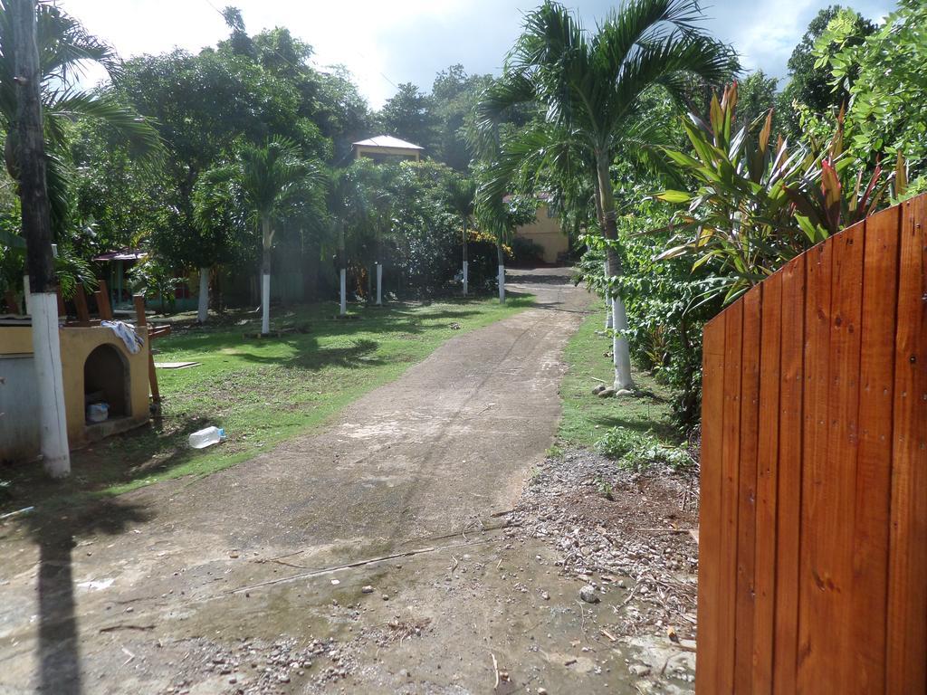La Familia Guest House And Natural Farm Port Antonio Exterior foto