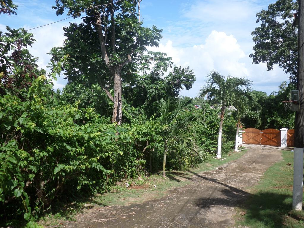 La Familia Guest House And Natural Farm Port Antonio Exterior foto