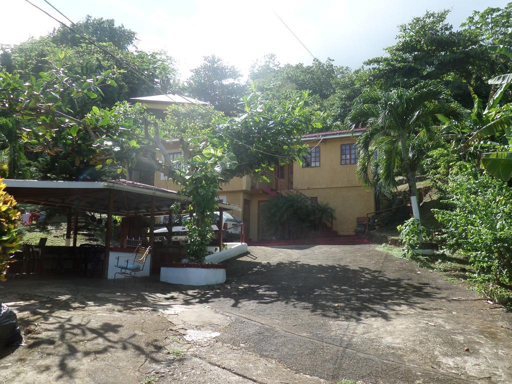La Familia Guest House And Natural Farm Port Antonio Exterior foto