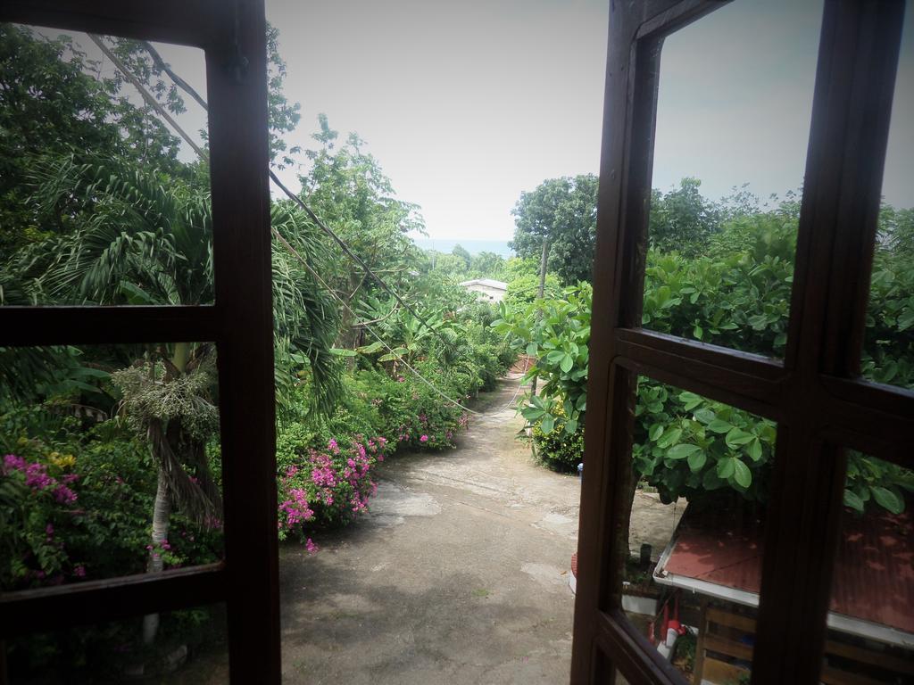 La Familia Guest House And Natural Farm Port Antonio Exterior foto
