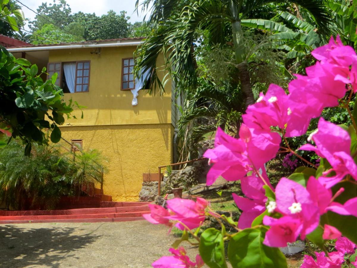 La Familia Guest House And Natural Farm Port Antonio Exterior foto